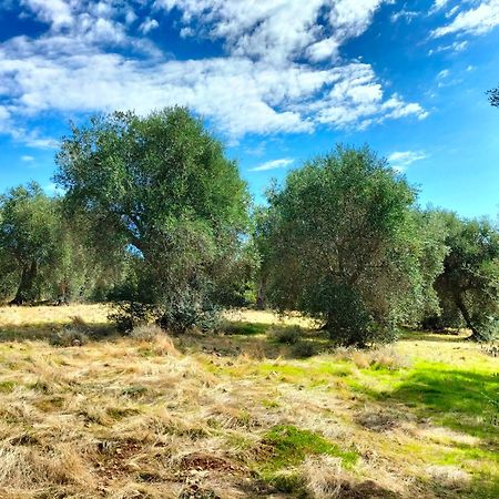 Agriturismo Lillastro Braccagni Kültér fotó