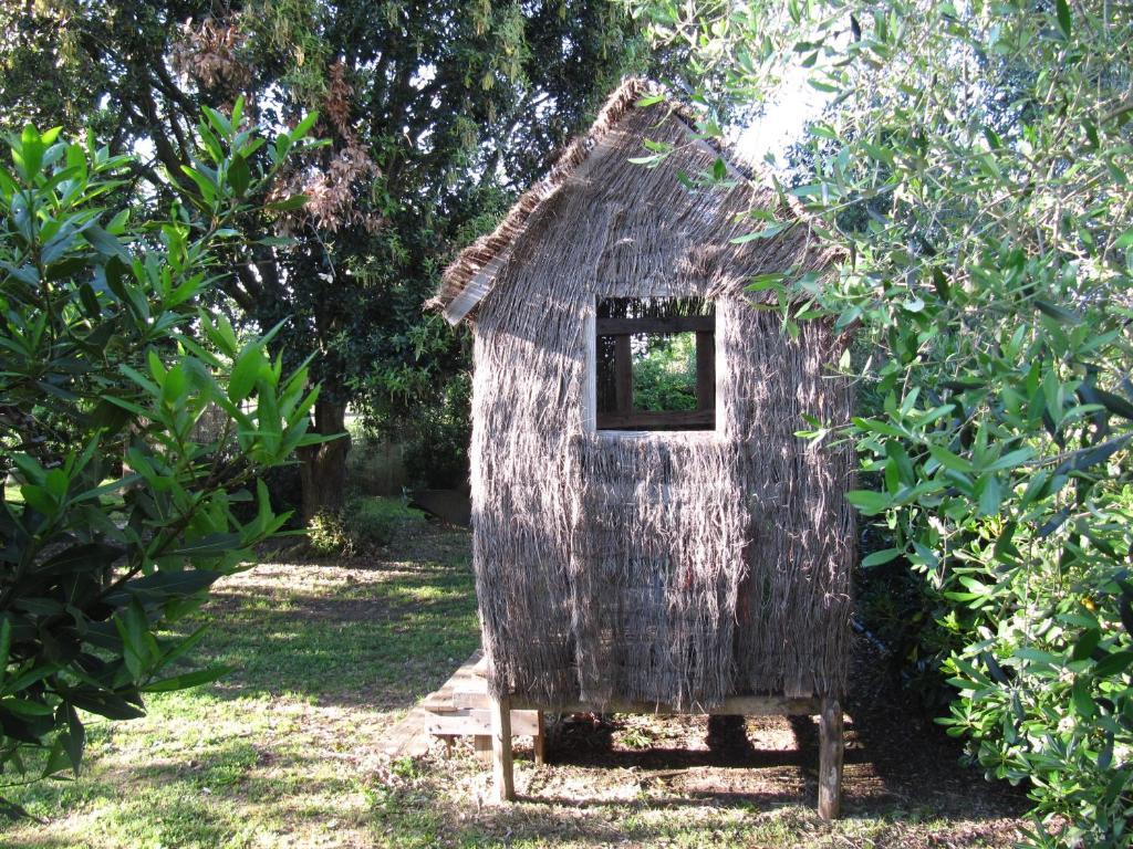Agriturismo Lillastro Braccagni Kültér fotó