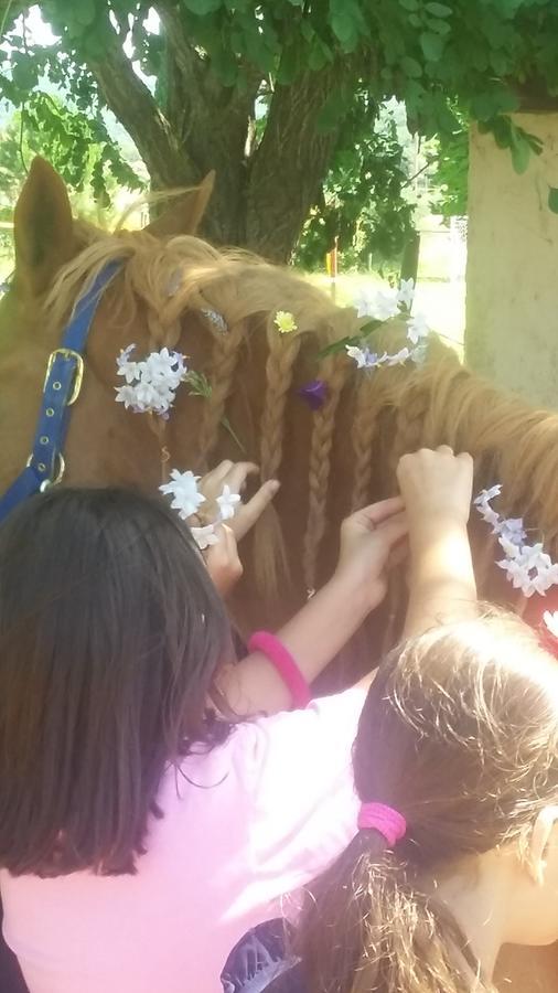 Agriturismo Lillastro Braccagni Kültér fotó
